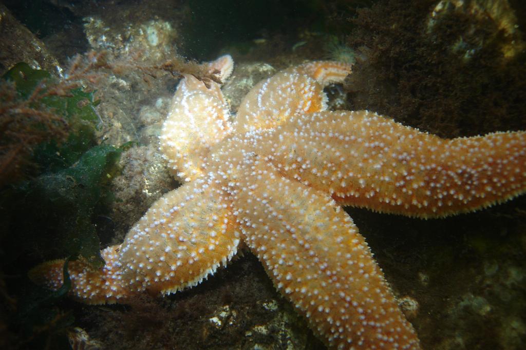 2008-08-09 09-33-46.JPG